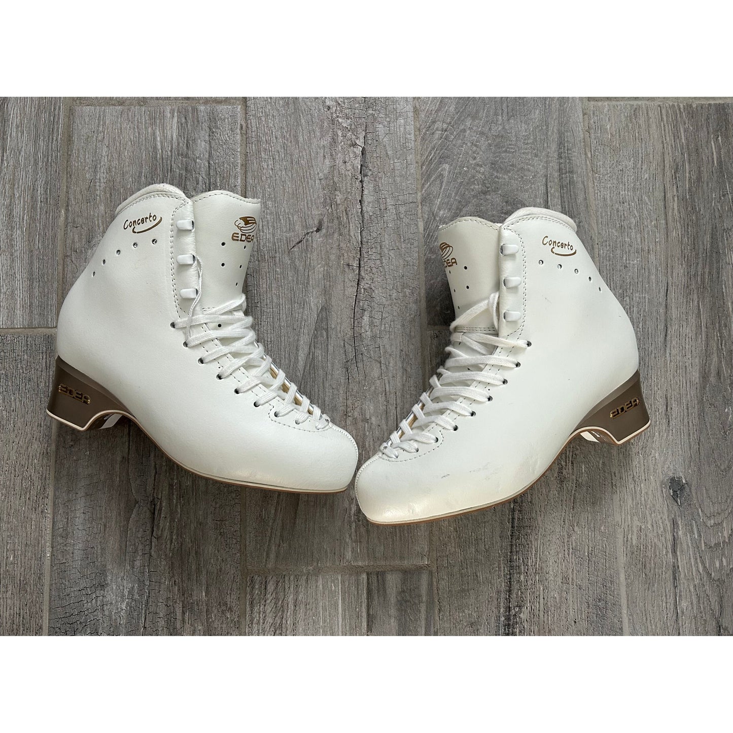 Edea Concerto - Ladies GENTLY USED Size 245 C